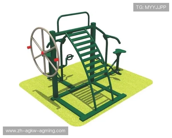 组合型健身器材产品简介及多功能应用分析